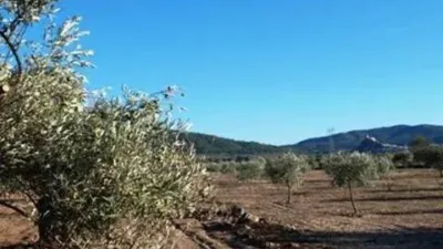 Terreno en venta en Biar - Más