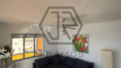 Apartment on Calle Torre Ladeada photo 19