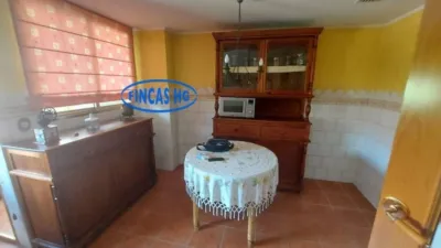 Apartment in San Blas photo 14