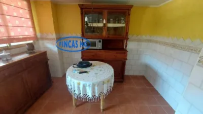 Apartment in San Blas photo 15