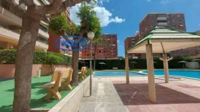 Apartment in San Blas photo 2