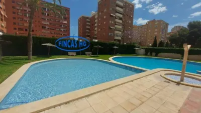 Apartment in San Blas photo 36