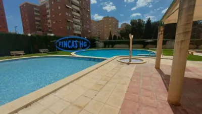 Apartment in San Blas photo 37