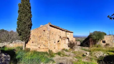 Rustic house in Santa Eugènia photo 4