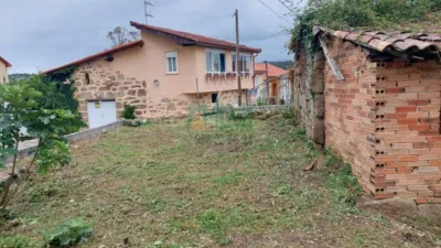 House in O Pereiro de Aguiar photo 3