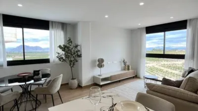 House in Algorfa photo 23