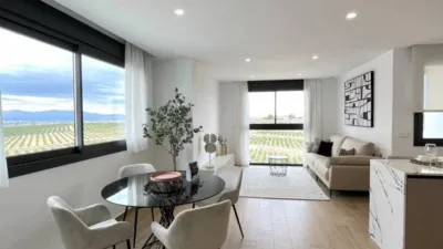 House in Algorfa photo 28