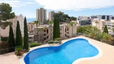 Penthouse in Sant Agustí photo 26