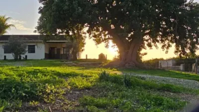 Terreno en alquiler en Cártama, Cártama de 1.500 €<span>/mes</span>