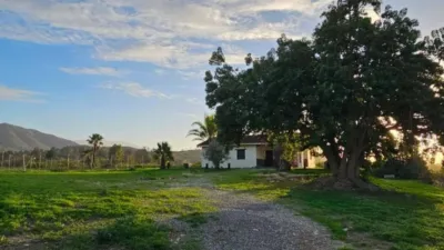 Terreno en alquiler en Cártama, Cártama de 1.500 €<span>/mes</span>