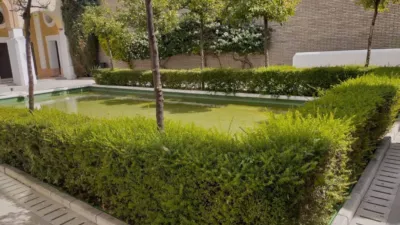 Piso en alquiler en Centro, Centro (Córdoba Capital) de 950 €<span>/mes</span>