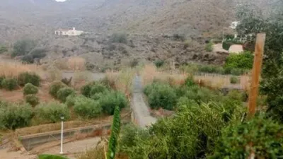 Rustic property on Calle Barriada La Cueva del Pajaro No Number photo 13