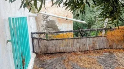 Rustic property on Calle Barriada La Cueva del Pajaro No Number photo 2