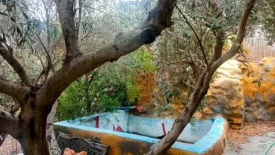 Rustic property on Calle Barriada La Cueva del Pajaro No Number photo 6