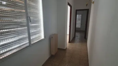 Miniatura 10