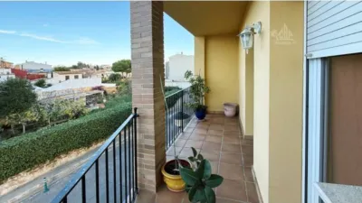 House in Llofriu photo 14