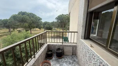 Apartment in Buenavista photo 23