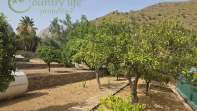 House in Alcaucín photo 25