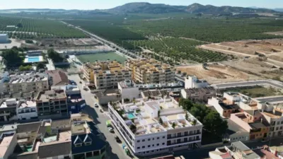 Apartment in Algorfa photo 9