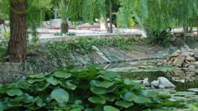 House in Alcaucín photo 37