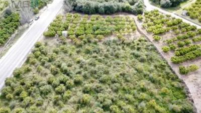 Terreno en venta en Sagra - Vista 5