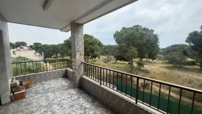 Apartment in Buenavista photo 16