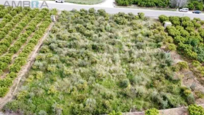 Terreno en venta en Sagra - Vista 4