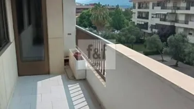 Apartment in Plasencia photo 13