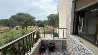 Apartment in Buenavista photo 20