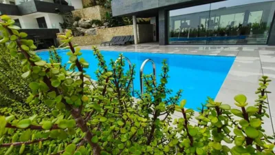 Apartment in Pedreguer photo 44