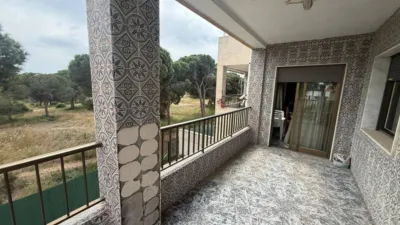 Apartment in Buenavista photo 24
