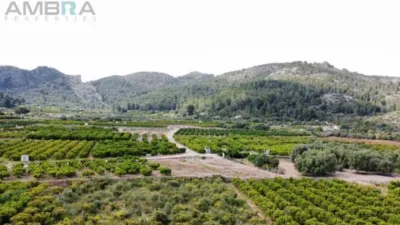 Terreno en venta en Sagra - Vista 3