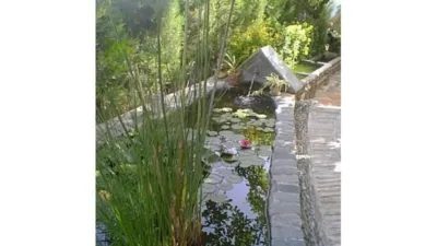 House in Alcaucín photo 39