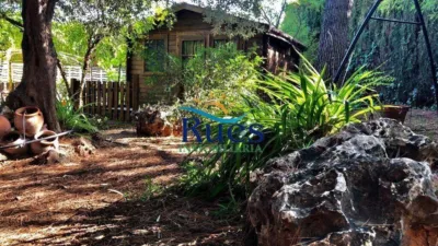 Chalet in L'Alcora photo 44