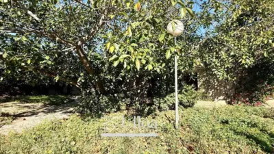 House in Garbinet-Parque de las Avenidas photo 44