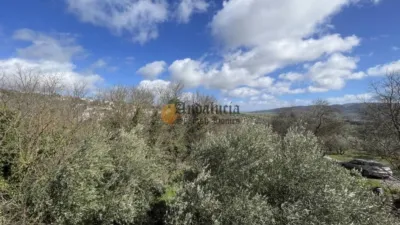 Casa rústica en La Pedriza photo 54