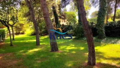 Chalet in L'Alcora photo 50