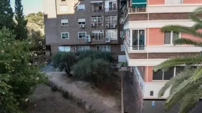Apartment on Pasos de Santiago Street photo 6