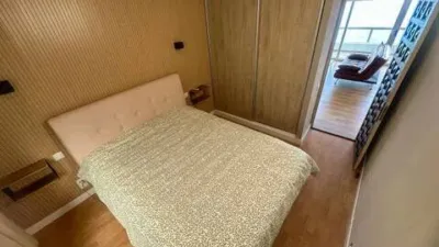 Apartment on Calle de las Palmeras photo 11