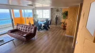 Apartment on Calle de las Palmeras photo 5