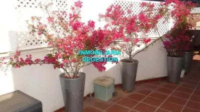 Penthouse in Linares photo 26