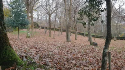 Chalet in Esgos (Capital) photo 25