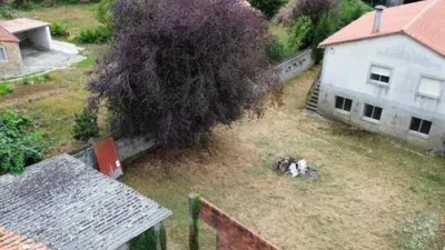 Chalet in Melide (Melide) photo 8