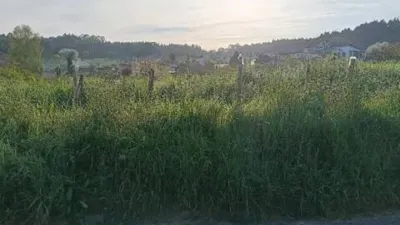 Terreno en venta en Bergondo - Vista 4