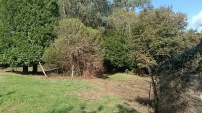 Chalet in A Chantada (Requeira) photo 34
