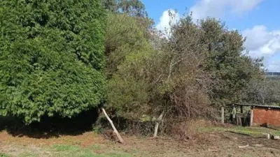 Chalet in A Chantada (Requeira) photo 33