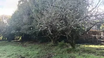 Chalet in A Chantada (Requeira) photo 26