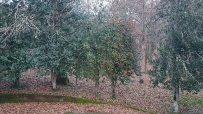 Chalet in Esgos (Capital) photo 44