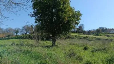 Terraced house in Oza-Cesuras photo 13