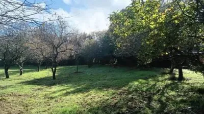 Chalet in A Chantada (Requeira) photo 30